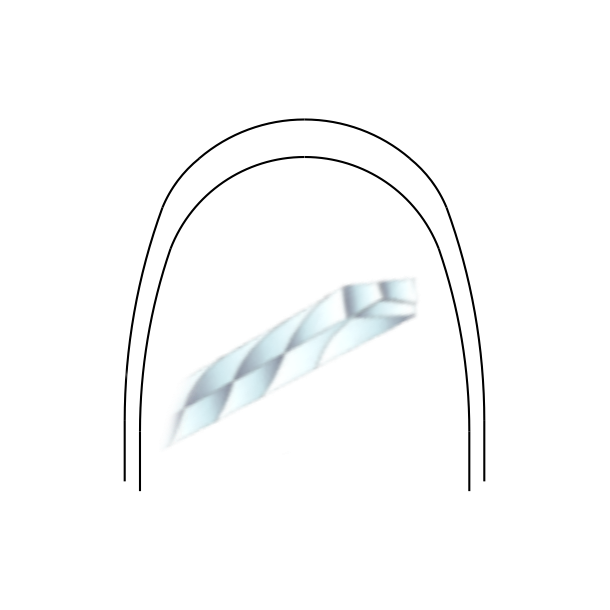 Twist 3 SS Trueform .016x.022 L BULK 10EA