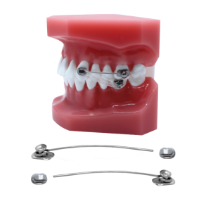OA D2 Motion Appliance Patientkit