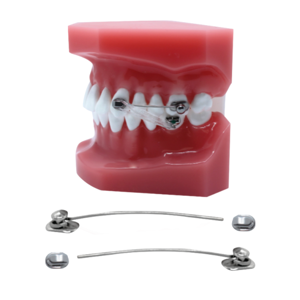OA D2 Motion Appliance Patientkit
