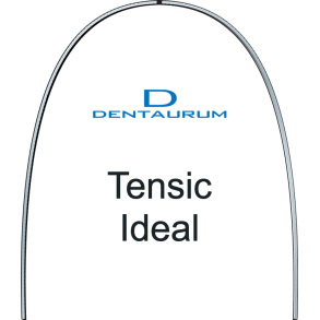 DENT Tensic Ideal BULK 10EA