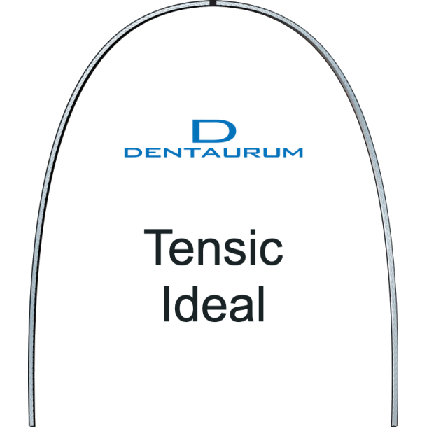 DENT Tensic Ideal BULK 10EA