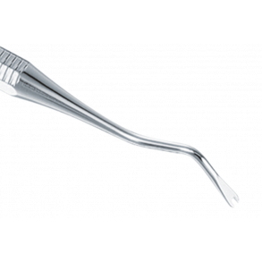 DENT Ligature Director    