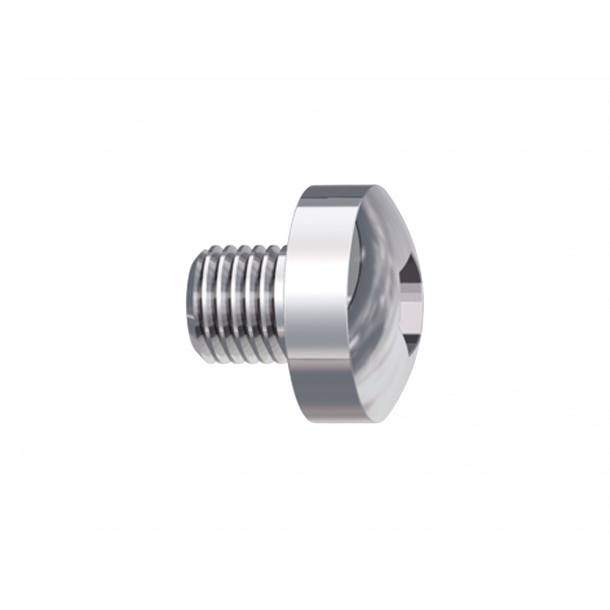 DENT Herbst TS/I Skruer uden base 10EA   