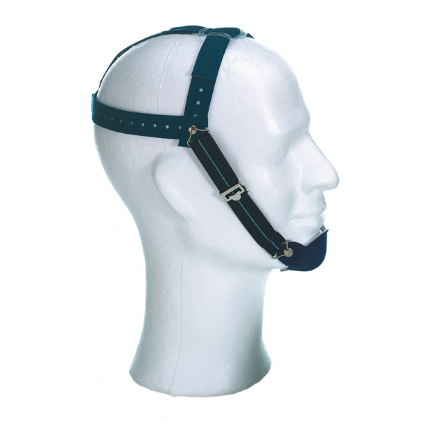 DENT High-Pull Hedgear ClassIII    