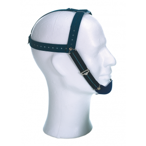 DENT High-Pull Vertical-Pull Hedgear Open Bite    