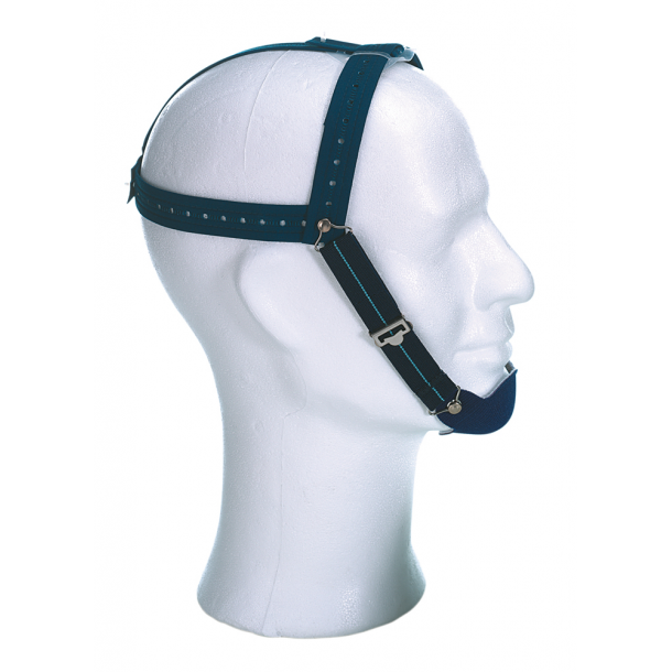 DENT High-Pull Vertical-Pull Hedgear Open Bite    