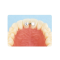 Leone Upper Central Retainer 10EA  
