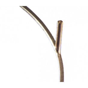 OA SS Right Form .018x.025 Straight-Post BULK 10EA