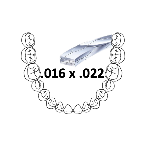 DENT Dentaflex Braid 8 Ideal Arch .016x.022 Super Spring Hard 10EA 